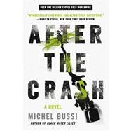 After the Crash A Novel