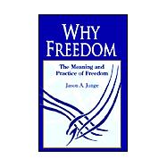Why Freedom : The Meaning and Practice of Freedom