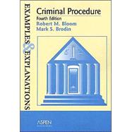 Criminal Procedure: Examples and Explanations