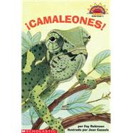 Cool Chameleons (camaleones) Level 2