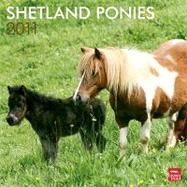 Shetland Ponies 2011 Calendar