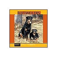 Rottweilers 2002 Calendar