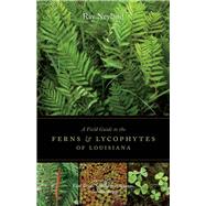 A Field Guide to the Ferns and Lycophytes of Louisiana