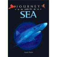 Journey Under the Sea