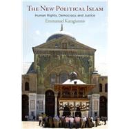 The New Political Islam