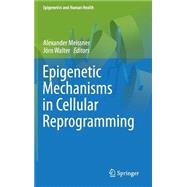 Epigenetic Mechanisms in Cellular Reprogramming