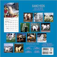 Samoyeds 2002 Calendar