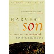 Harvest Son Planting Roots in American Soil
