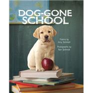Dog-gone School