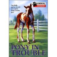 Pony in Trouble