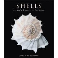 Shells Nature's Exquisite Creations