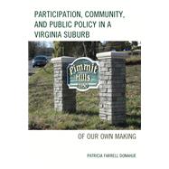 Participation, Community, and Public Policy in a Virginia Suburb Of Our Own Making