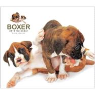 Boxers 2010 Calendar: Artlist Collection