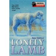 Lonely Lamb