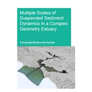 Multiple Scales of Suspended Sediment Dynamics in a Complex Geometry Estuary