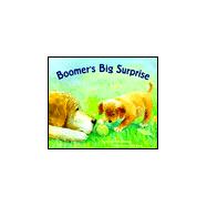 Boomer's Big Surprise