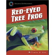 Red-eyed Tree Frog