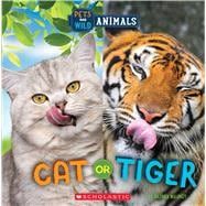 Cat or Tiger (Wild World: Pets and Wild Animals) book cover, ISBN 9781338899788
