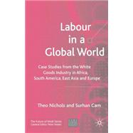 Labour in a Global World : Case Studies from the White Goods Industry in Africa, South America, East Asia and Europe