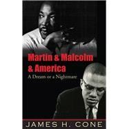 Martin & Malcolm & America