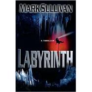 Labyrinth; A Novel