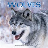 Wolves 2003 Calendar