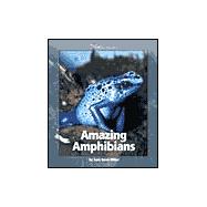 Amazing Amphibians