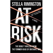 At Risk A Novel