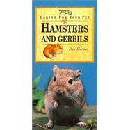 Hamsters And Gerbils