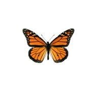 The Monarch Butterfly Journal