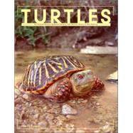 Turtles An Extraordinary Natural History 245 Million Years in the Making