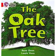 The Oak Tree Workbook