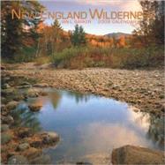 New England Wilderness 2009 Calendar,9781421639819