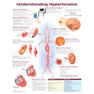 Understanding Hypertension