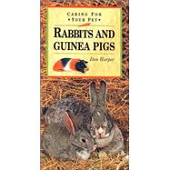 Rabbits And Guinea Pigs