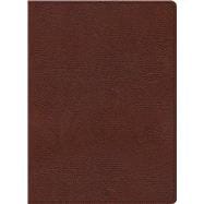 KJV Study Bible, Large Print Edition, Brown Bonded Leather