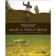 What a Trout Sees : A Fly Fishing Guide to Life Underwater