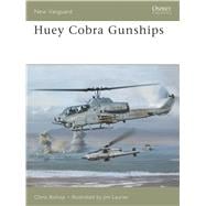 HueyCobra Gunships