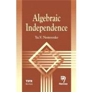 Lectures on Algebraic Independence