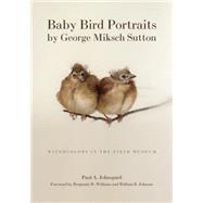 Baby Bird Portraits
