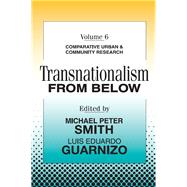 Transnationalism from Below: Comparative Urban and Community Research