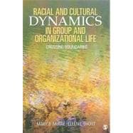 Racial and Cultural Dynamics in Group and Organizational Life : Crossing Boundaries