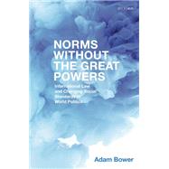 Norms Without the Great Powers International Law and Changing Social Expectations in World Politics