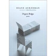 Origami Bridges