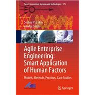 Agile Enterprise Engineering