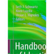 Handbook of Identity Theory and Research