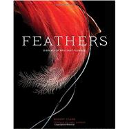 Feathers Displays of Brilliant Plumage