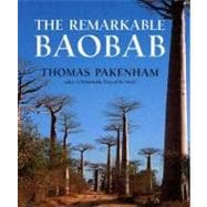 Remarkable Baobab Cl
