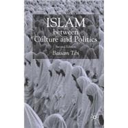 Islam Between Culture and Politics, Second Edition