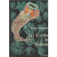 Art Forms in Nature The Prints of Ernst Haeckel